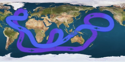 Circulation Thermohaline Carte de la circulation thermohaline à l'échelle mondiale
